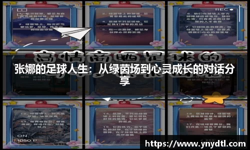 3377体育首页