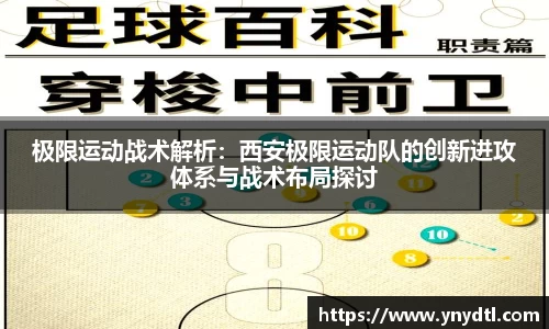 3377体育官网
