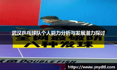 3377体育APP