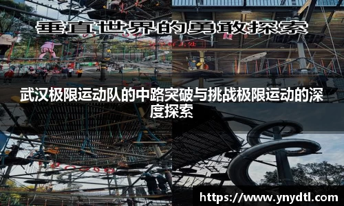 3377体育官网