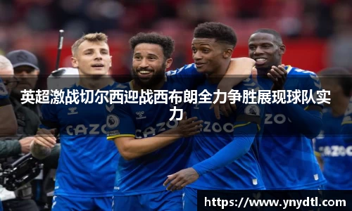 3377体育官网