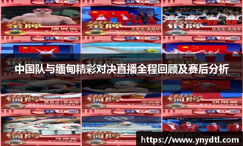 3377体育