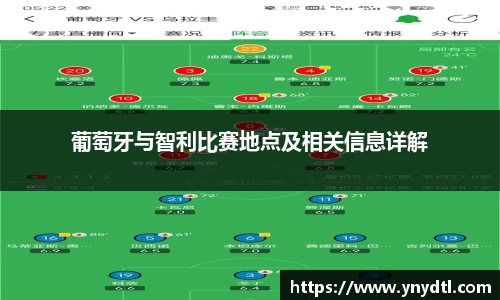 葡萄牙与智利比赛地点及相关信息详解