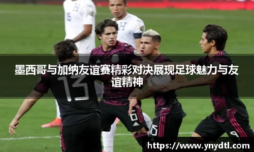 3377体育官网