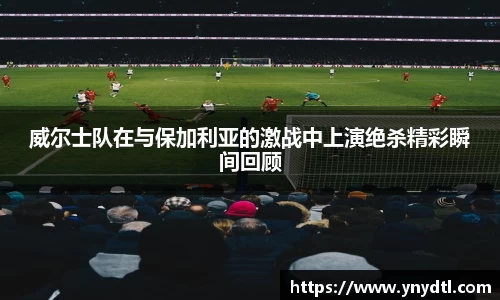 3377体育APP