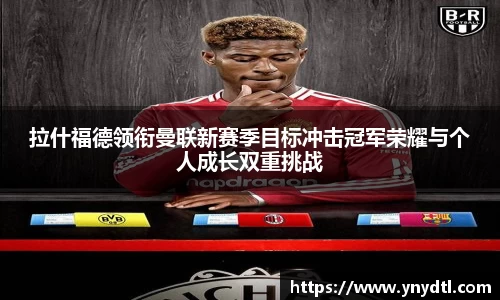 3377体育官网