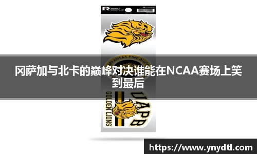 3377体育官网