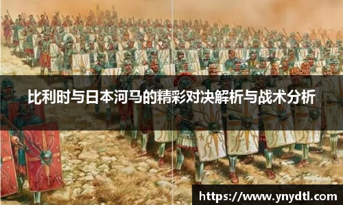 3377体育官网