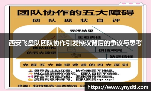西安飞盘队团队协作引发热议背后的争议与思考