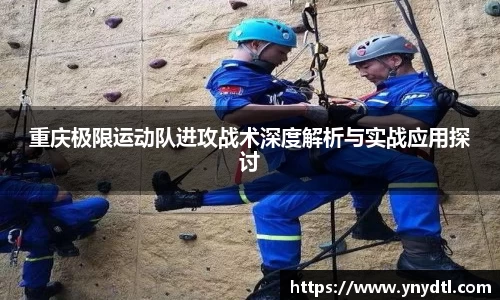 3377体育