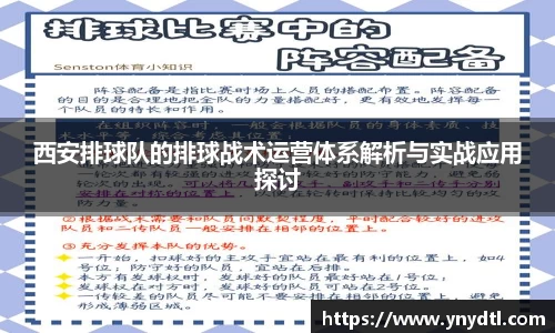 3377体育官网