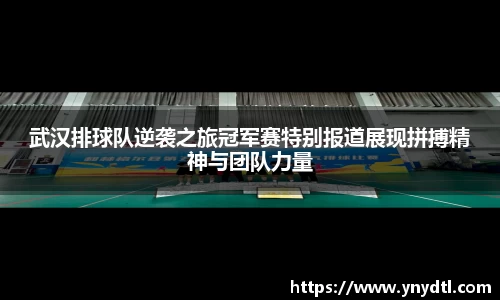 3377体育首页