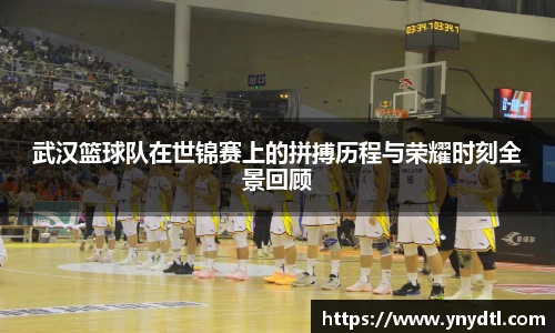 3377体育官网